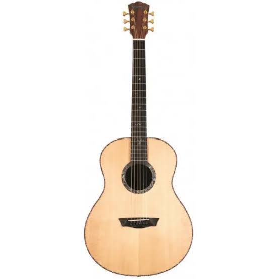 WASHBURN ELEGANTE S24S RM-527621 фото