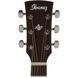 IBANEZ&nbsp;AW54&nbsp;OPN