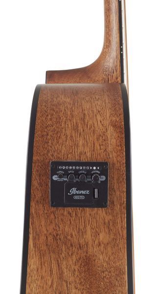 IBANEZ&nbsp;AW65ECE 213453 фото