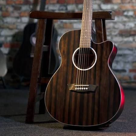 WASHBURN DFEACE-U, Чорний глянсовий, 20, 6, 25.5"