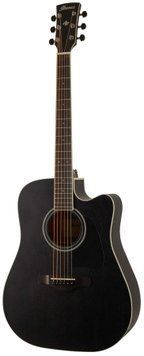IBANEZ&nbsp;AW84CE&nbsp;WK 224467 фото
