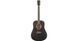 WASHBURN DFED-U RM-531835 фото 1