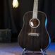 WASHBURN DFED-U RM-531835 фото 2