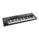 NATIVE INSTRUMENTS Komplete Kontrol A49 285382 фото 2