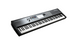KURZWEIL SP7 Grand 528959 фото 2