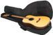 ROCKBAG RB20519B STUDENT LINE ACOUSTIC GUITAR BAG 23201 фото 2
