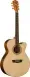WASHBURN WG7SCE-A-U RM-531845 фото 1