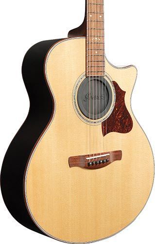 IBANEZ ISC1 SOUND HOLE COVER