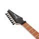 IBANEZ RG7420EX BKF ELECTRIC GUITAR, Black, 24, 7, Tremolo, 25.5", H-H