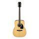 IBANEZ PF15 NT АКУСТИЧНА ГІТАРА 211085 фото 1