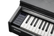 KURZWEIL CUP M1 SR, 88 (7.5 Octaves), Full size, Full-weighted, 256