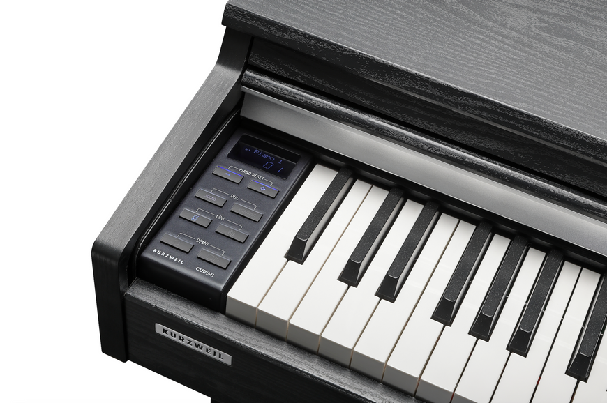 KURZWEIL CUP M1 SR, 88 (7.5 Octaves), Full size, Full-weighted, 256