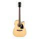 IBANEZ PF15ECE NT ГІТАРА ЕЛЕКТРОАКУСТИЧНА 213669 фото 1