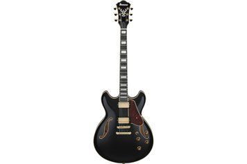 IBANEZ&nbsp;AS93BC&nbsp;BK, Black, 22, 6, Fixed, 24.75", H-H