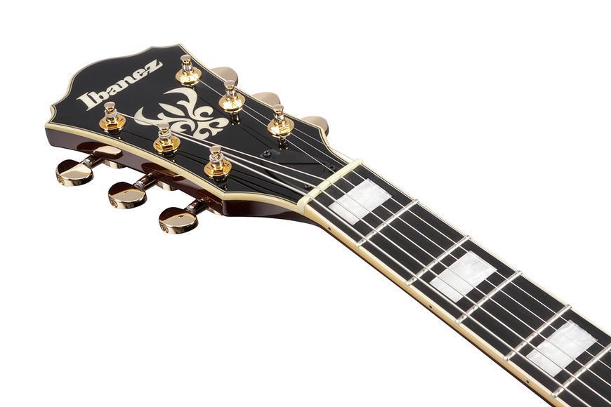 IBANEZ&nbsp;AS93BC&nbsp;BK 236146 фото