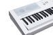 KURZWEIL KA-E1 WH, 88 (7.5 Octaves), Full size, Full-weighted, 128