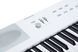 KURZWEIL KA-E1 WH, 88 (7.5 Octaves), Full size, Full-weighted, 128