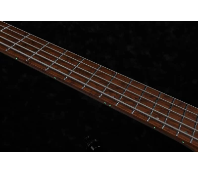 IBANEZ&nbsp;EHB1005MS&nbsp;BKF