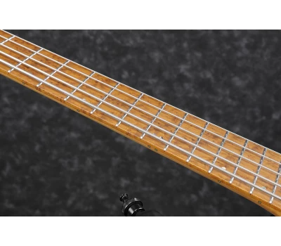 IBANEZ&nbsp;EHB1005MS&nbsp;BKF