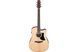 IBANEZ&nbsp;AAD50CE-LG 232726 фото 1