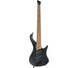 IBANEZ&nbsp;EHB1005MS&nbsp;BKF