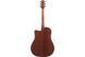 IBANEZ&nbsp;AAD50CE-TCB 234926 фото 2
