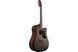 IBANEZ&nbsp;AAD50CE-TCB 234926 фото 3