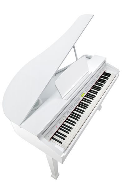 KURZWEIL KAG-100 WHP 284313 фото