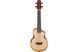 IBANEZ&nbsp;AUC10E&nbsp;OPN, Concert, Natural