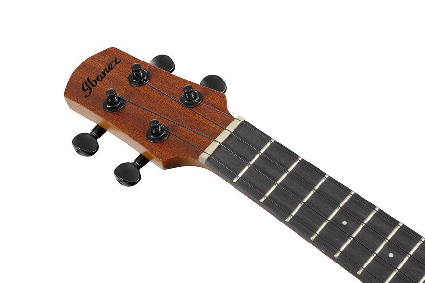 IBANEZ&nbsp;AUC10E&nbsp;OPN, Concert, Natural