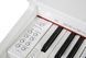 KURZWEIL M70 WH, 88 (7.5 Octaves), Full size, Full-weighted, 64