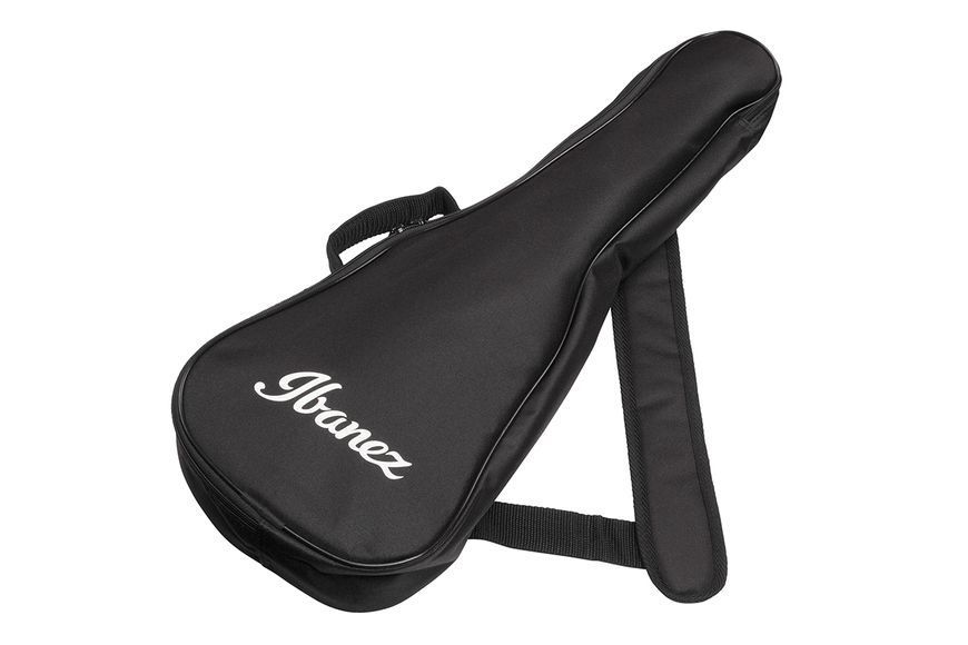 IBANEZ&nbsp;AUP10N&nbsp;OPN, Concert, Natural