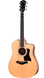 TAYLOR GUITARS 210CE PLUS