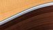 TAYLOR GUITARS 210CE PLUS