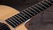 TAYLOR GUITARS 210CE PLUS