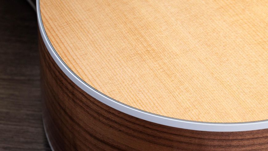 TAYLOR GUITARS 210CE PLUS