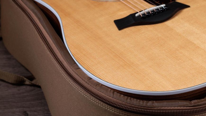TAYLOR GUITARS 210CE PLUS